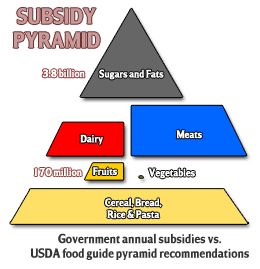 food-pyramid-government-subsidies
